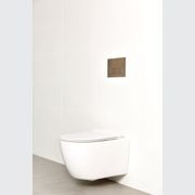 Milu Odourless Wall Hung Toilet Pan & Cistern - Crest gallery detail image