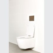 Milu Odourless Wall Hung Toilet Pan & Cistern - Crest gallery detail image