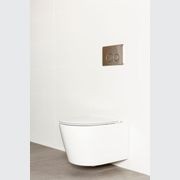 Milu Odourless Wall Hung Toilet Pan & Cistern - Mod gallery detail image