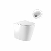 Zero Extra High Rimless Whirlpool Flush Floor Pan gallery detail image