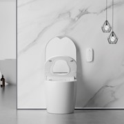 Crawford Smart Toilet gallery detail image