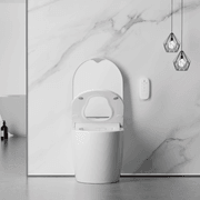 Crawford Smart Toilet gallery detail image