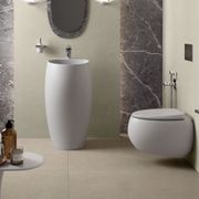 RAK Cloud Wall-Hung Toilet Suite gallery detail image