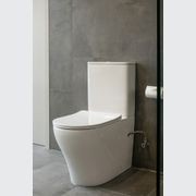 Rimfree Duron T1 Toilet Suite gallery detail image