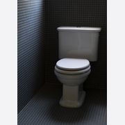 Rockwell Toilet With Close Coupled Cistern Pan gallery detail image