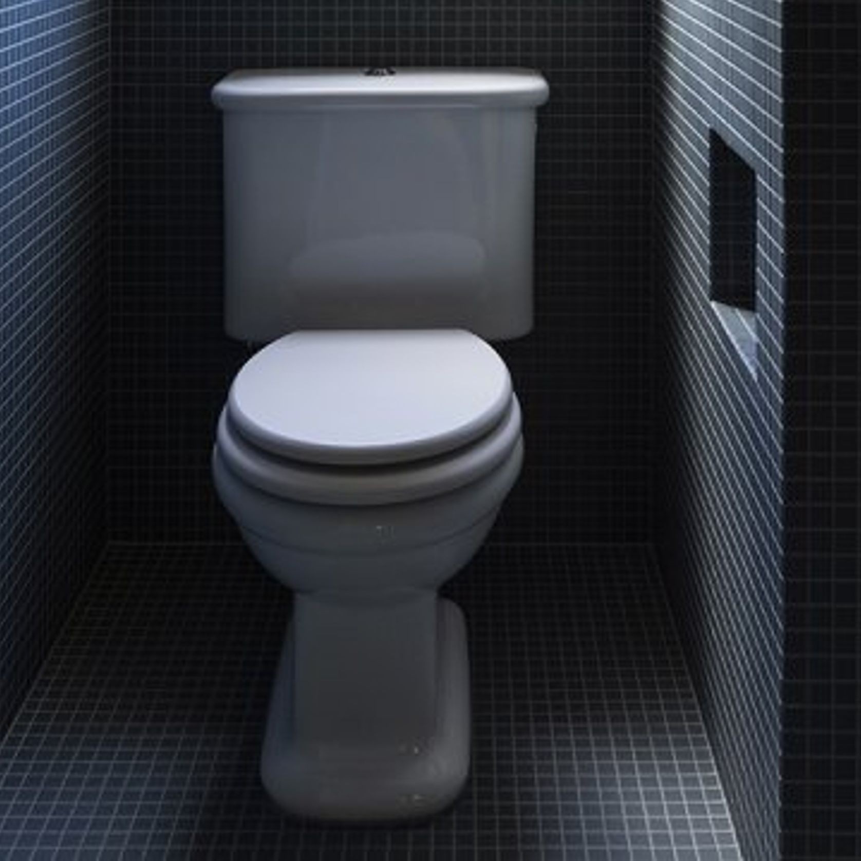 Rockwell Toilet With Close Coupled Cistern Pan gallery detail image