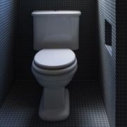 Rockwell Toilet With Close Coupled Cistern Pan gallery detail image