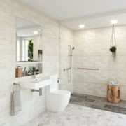 Alix Back-to-Wall Toilet Suite gallery detail image