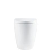 Alix Ambulant Wall-Faced Toilet Suite, Gloss White gallery detail image