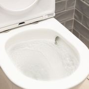 Aluca Back-to-Wall Toilet Suite gallery detail image