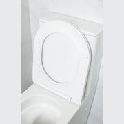 Rimfree Duron T1 Toilet Suite gallery detail image