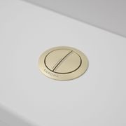 Urbane II Wall Faced Close Coupled Flush Button 687071 gallery detail image