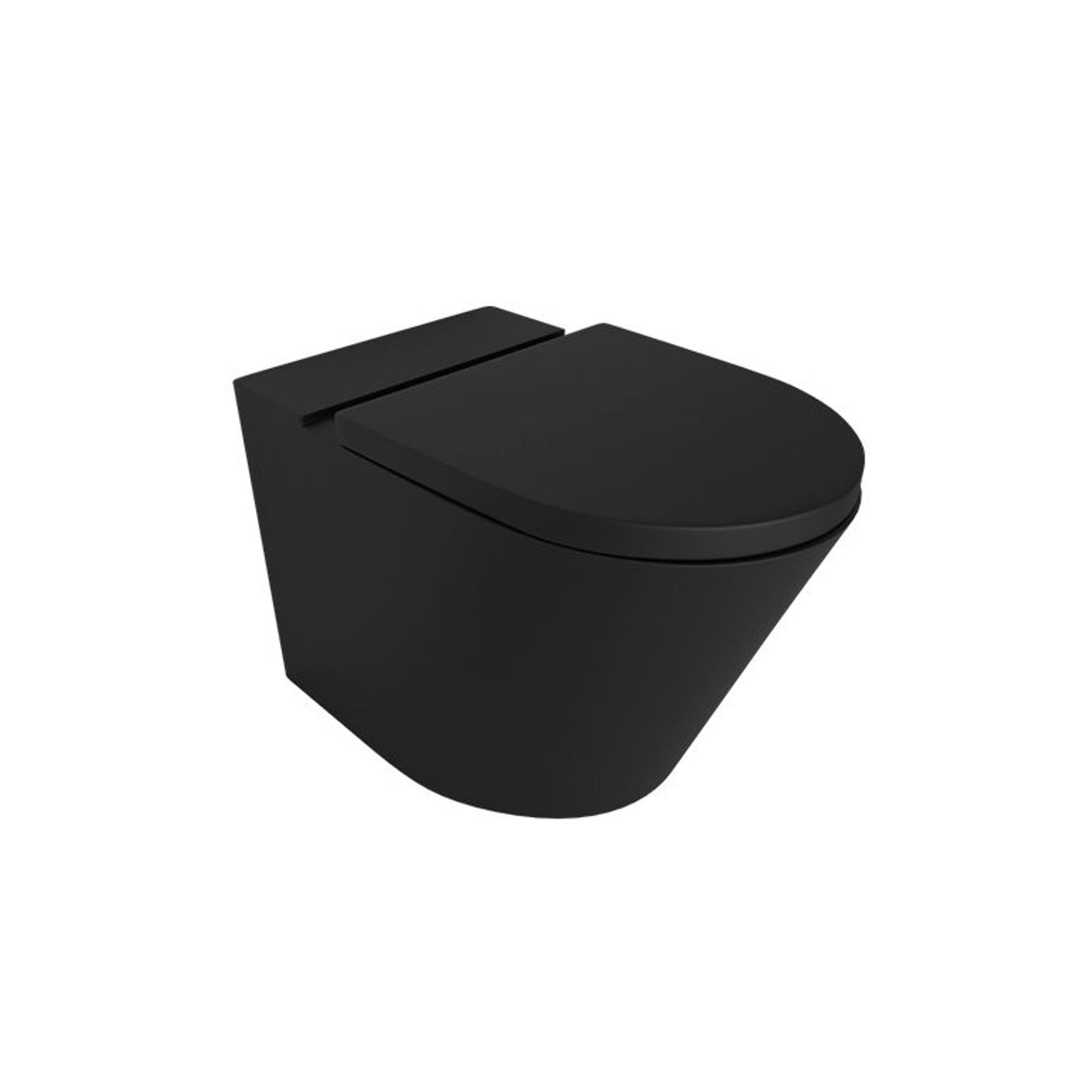 Vivo Floor Mounting Pan Thick Seat Rimless Matte Black gallery detail image