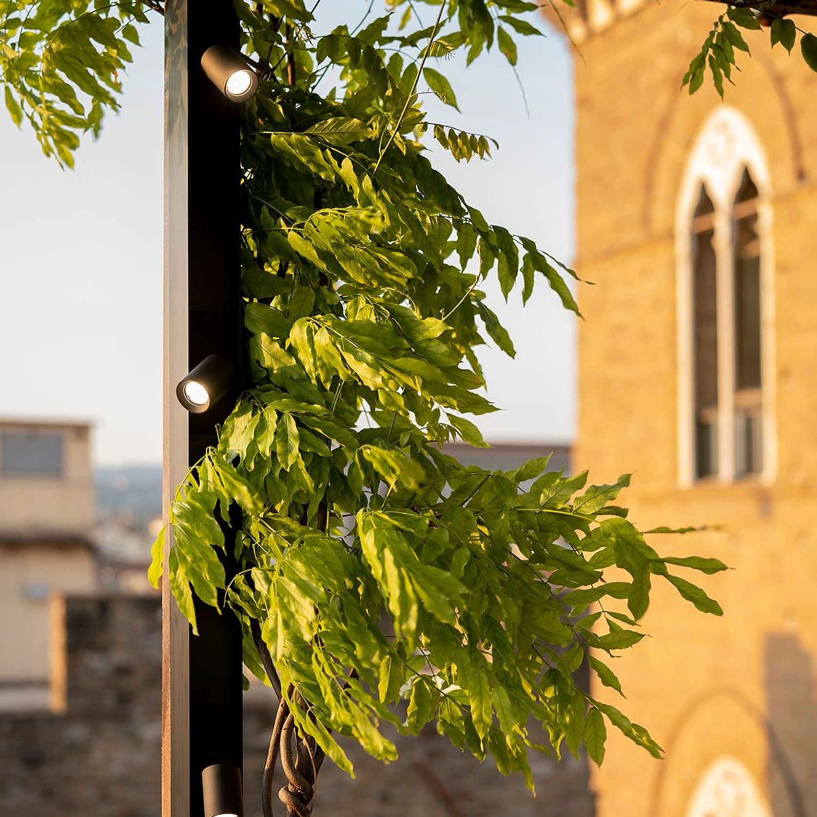 Ivy Outdoor Lighting System gallery detail image