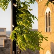 Ivy Outdoor Lighting System gallery detail image
