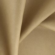 Ranch by Zepel FibreGuard gallery detail image