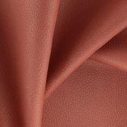 Ranch by Zepel FibreGuard gallery detail image