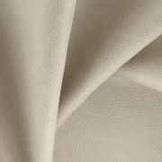 Ranch by Zepel FibreGuard gallery detail image