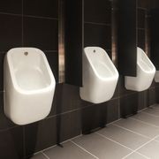 RAK Series Wall Hung Urinal gallery detail image