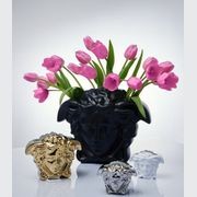 Medusa Grande gallery detail image