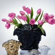 Medusa Grande gallery detail image
