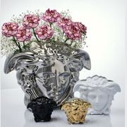 Medusa Grande gallery detail image