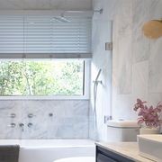 Habitus Plus Venetians gallery detail image