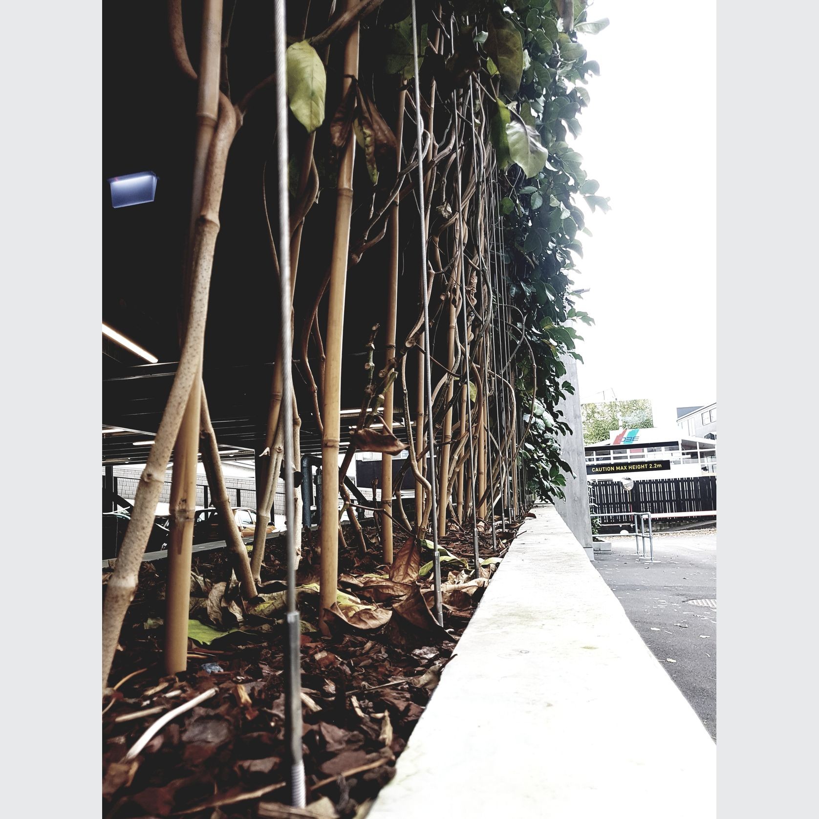 Green Wall Support Systems gallery detail image