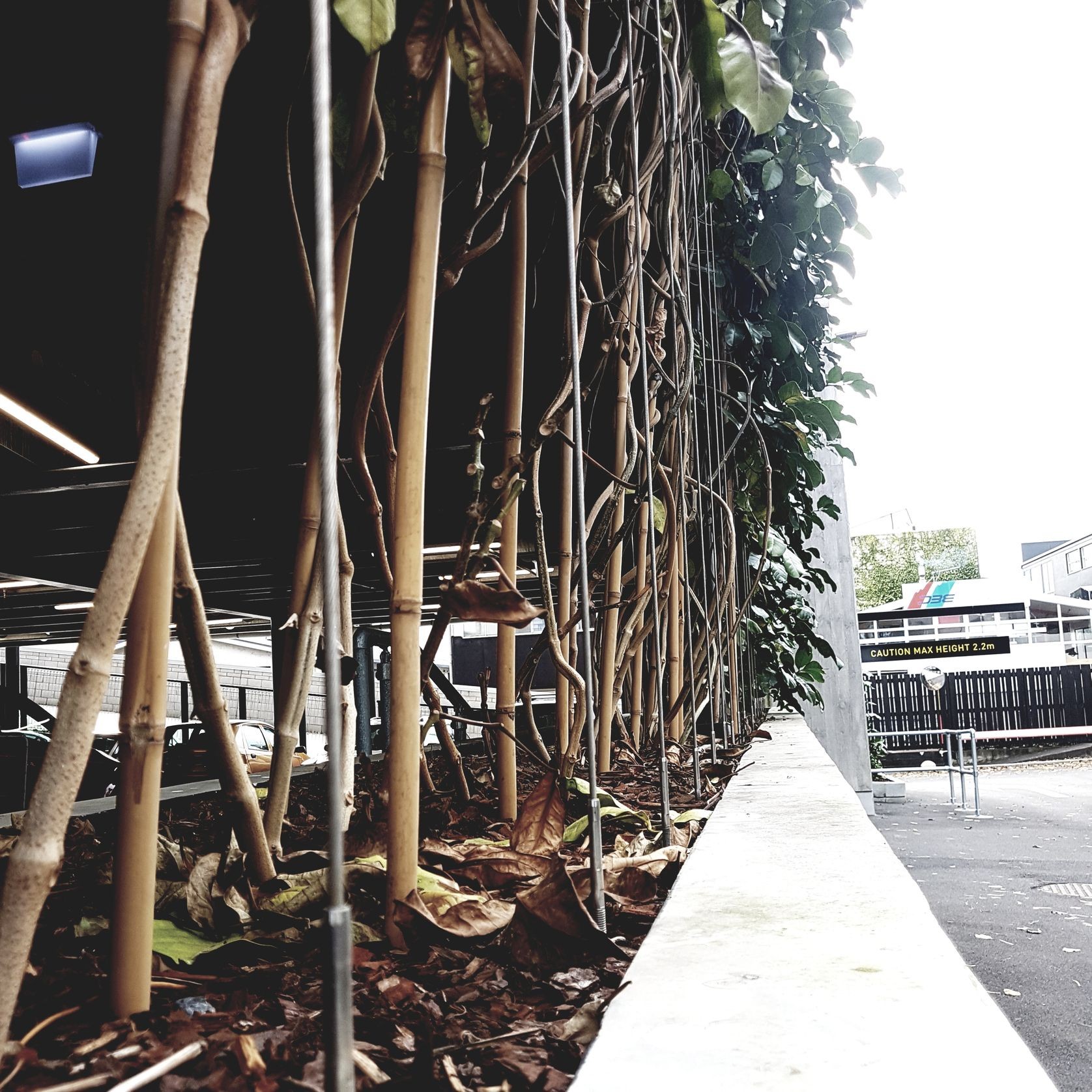 Green Wall Support Systems gallery detail image