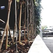 Green Wall Support Systems gallery detail image