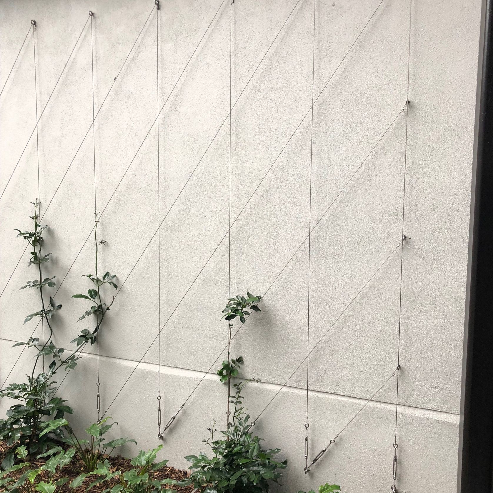 Green Wall Support Systems gallery detail image