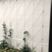 Green Wall Support Systems gallery detail image