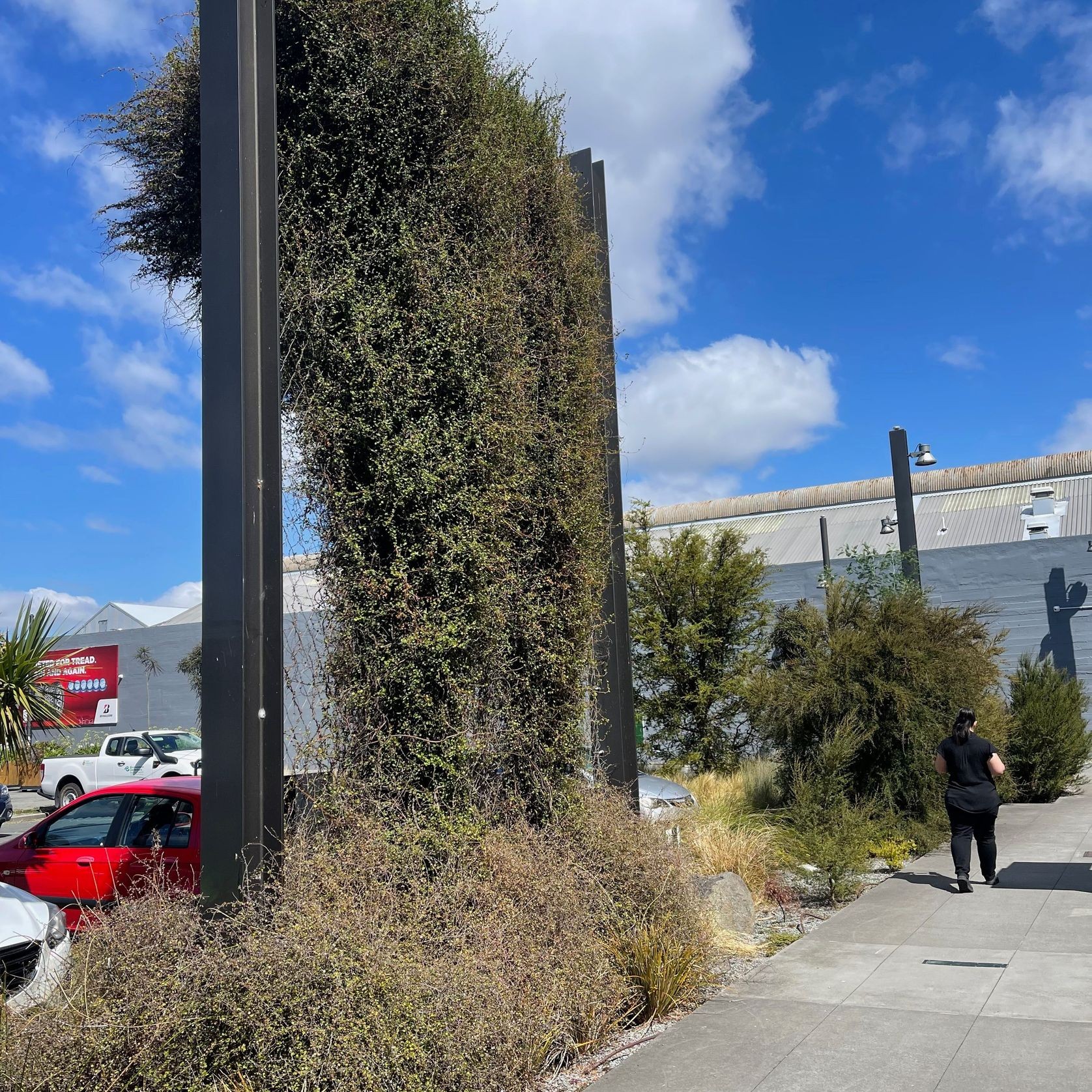 Green Wall Support Systems gallery detail image