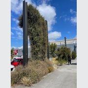 Green Wall Support Systems gallery detail image