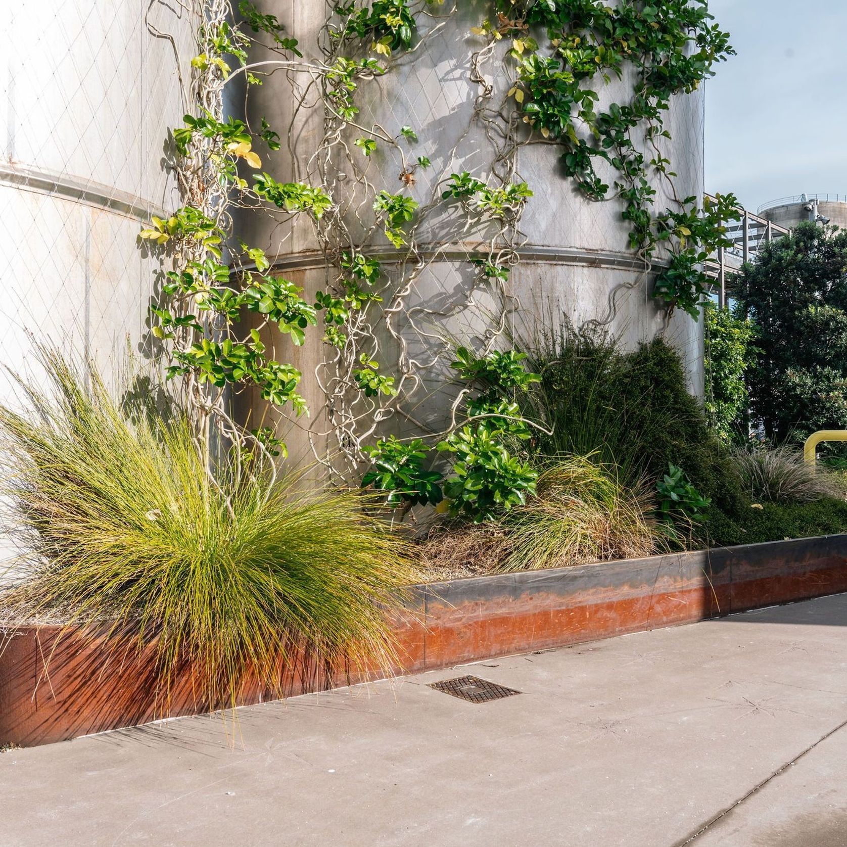 Green Wall Support Systems gallery detail image