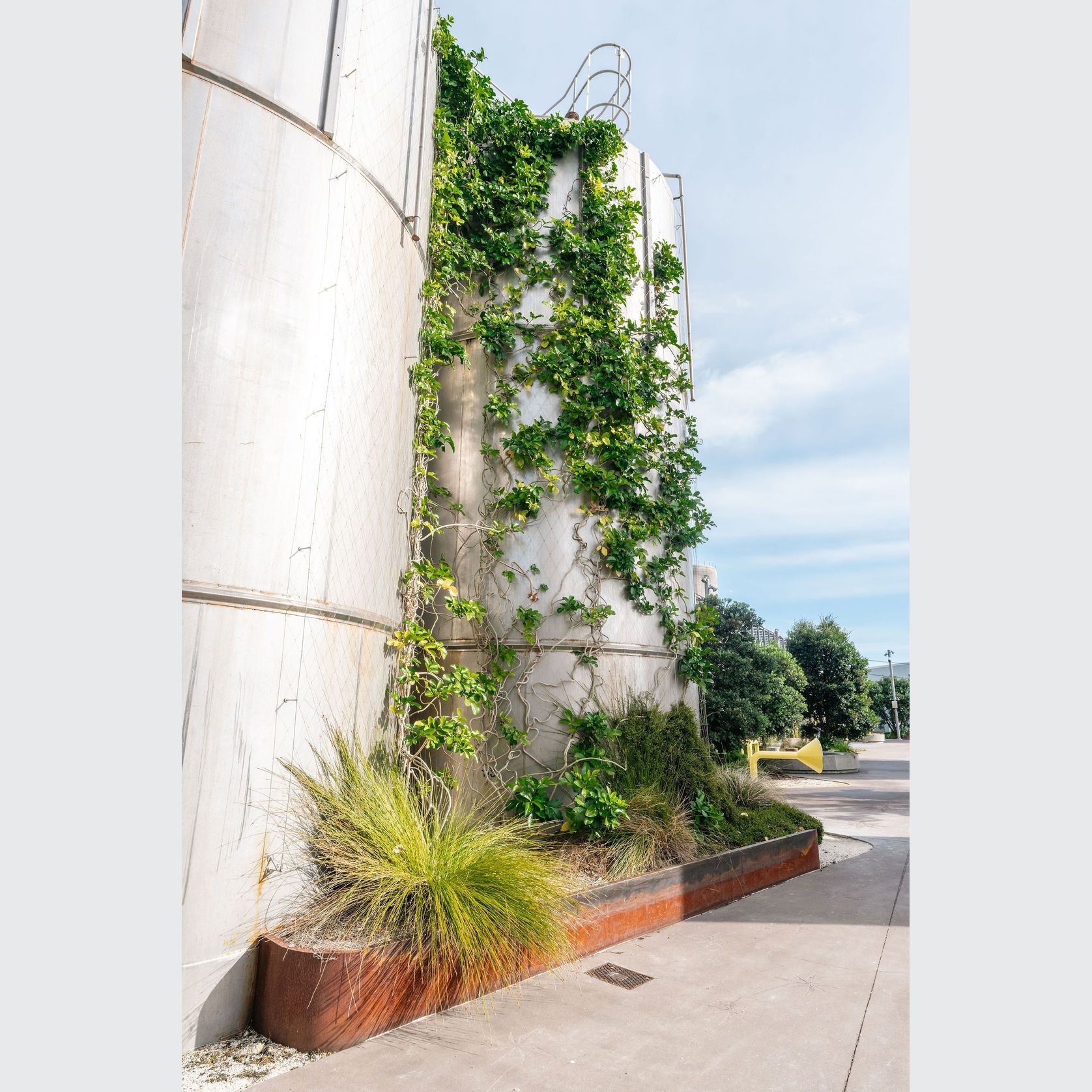 Green Wall Support Systems gallery detail image