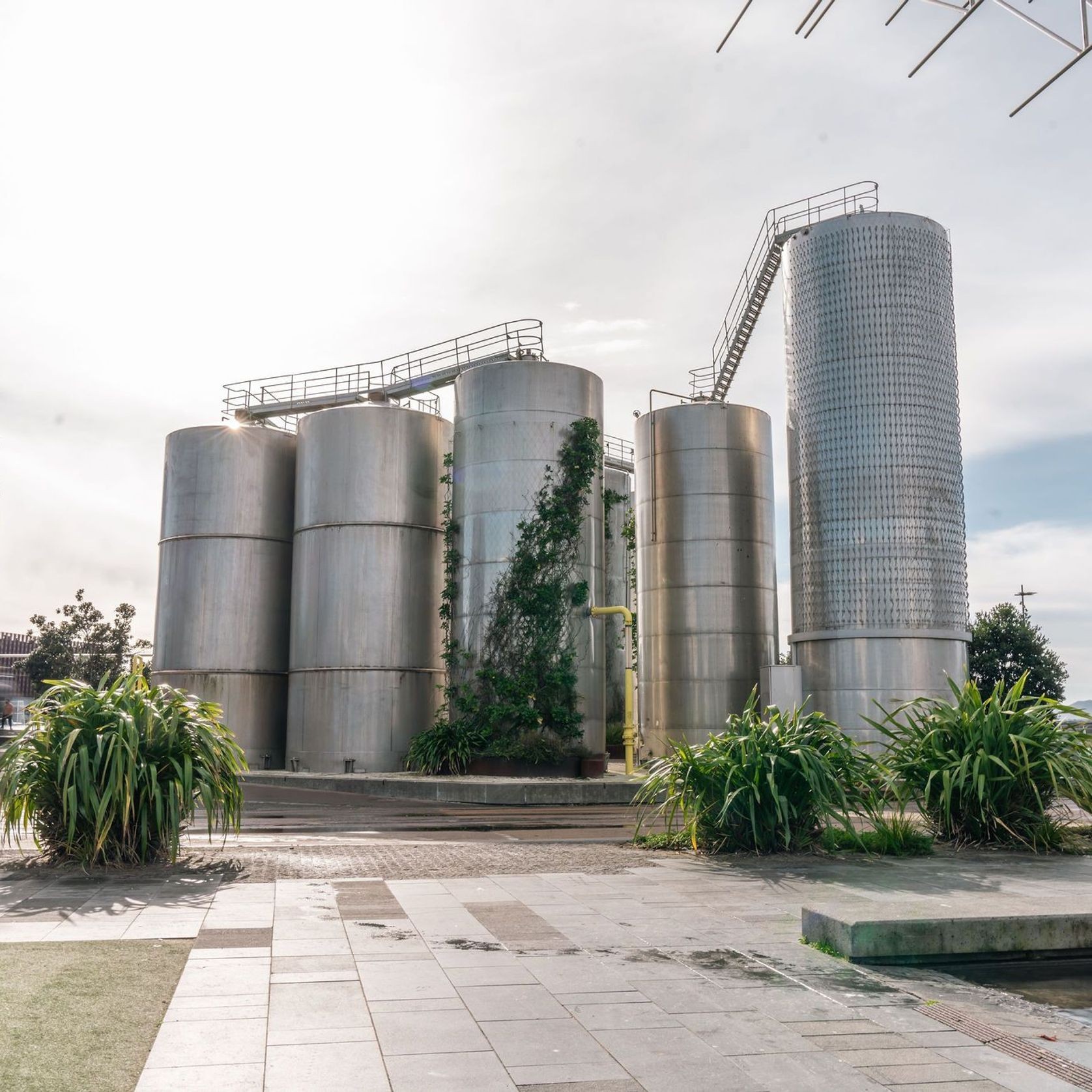 Green Wall Support Systems gallery detail image