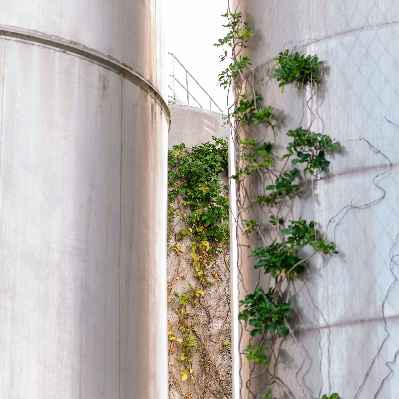 Green Wall Support Systems gallery detail image