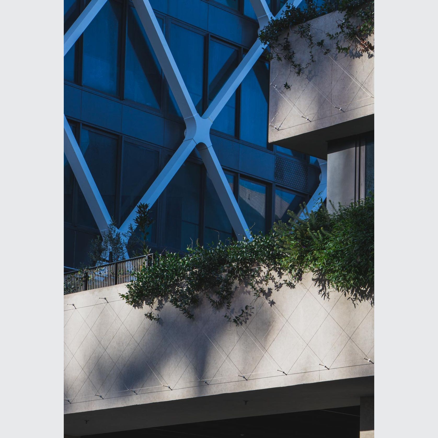 Green Wall Support Systems gallery detail image