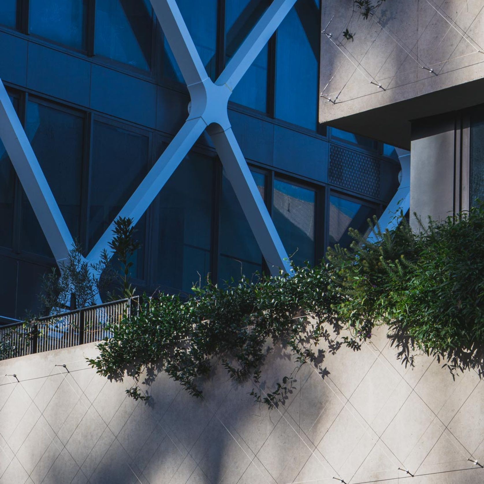 Green Wall Support Systems gallery detail image