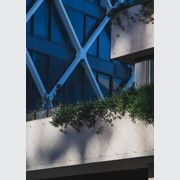 Green Wall Support Systems gallery detail image