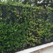 Architectural Screens - Atlantis Gro-Wall® Façade gallery detail image