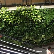 Gro-Wall® Slim PRO Vertical Gardens by Atlantis gallery detail image