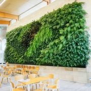 Gro-Wall® Slim Line Vertical Gardens by Atlantis gallery detail image