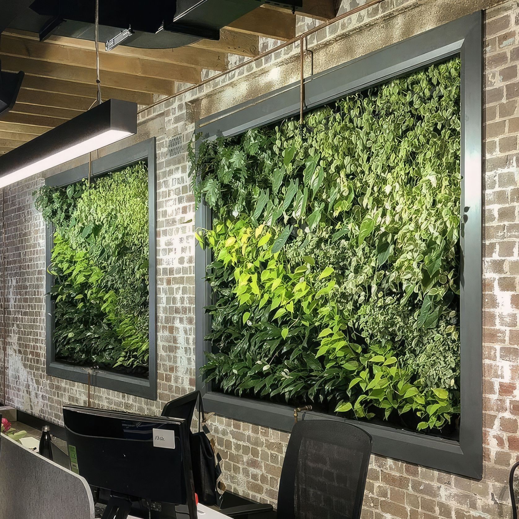 Gro-Wall® Slim Line Vertical Gardens by Atlantis gallery detail image