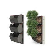 Gro-Wall® Slim Line Vertical Gardens by Atlantis gallery detail image