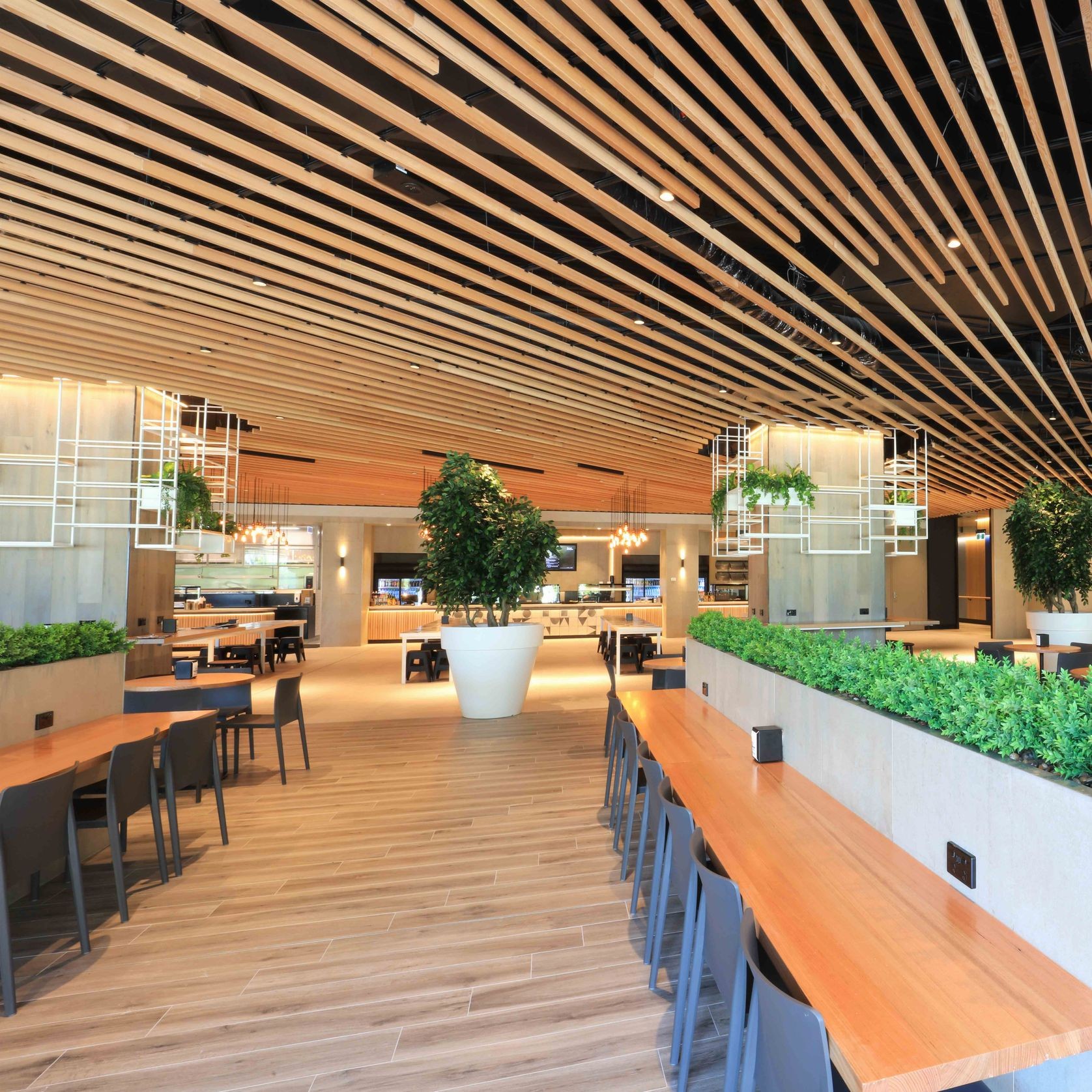 Timberline Plus | Calde Plus gallery detail image