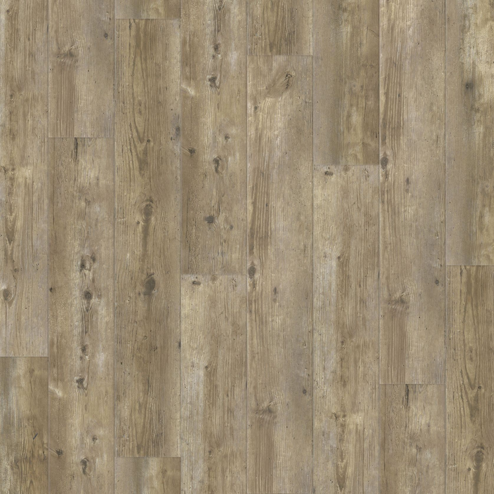 Natural Creations ArborArt | Weathered Oak Light - Wide gallery detail image