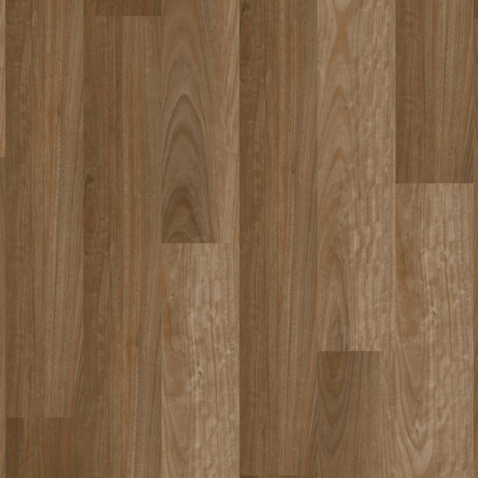 Natural Creations ArborArt | Sunrise Blackbutt gallery detail image