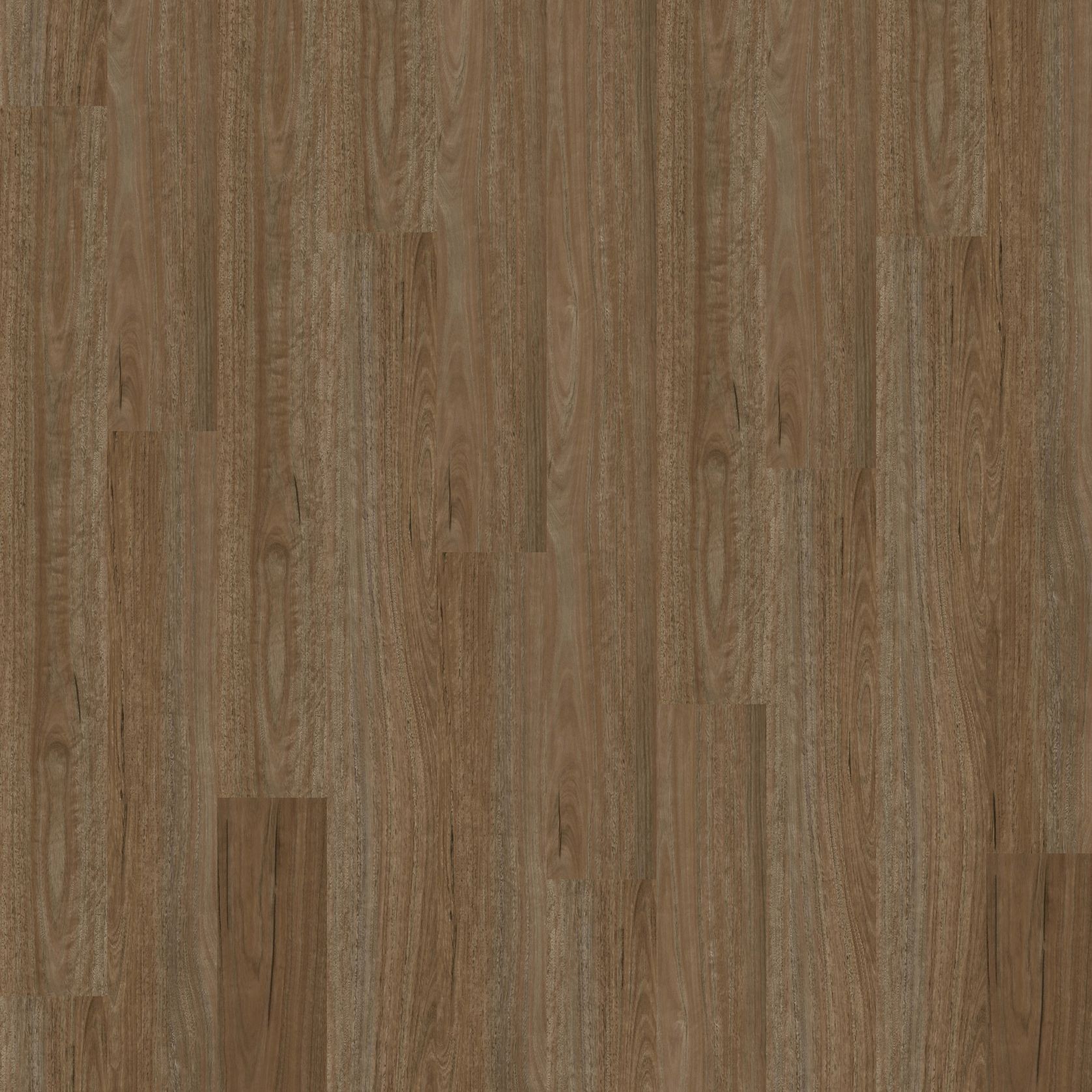 Natural Creations ArborArt | Morning Spotted Gum gallery detail image